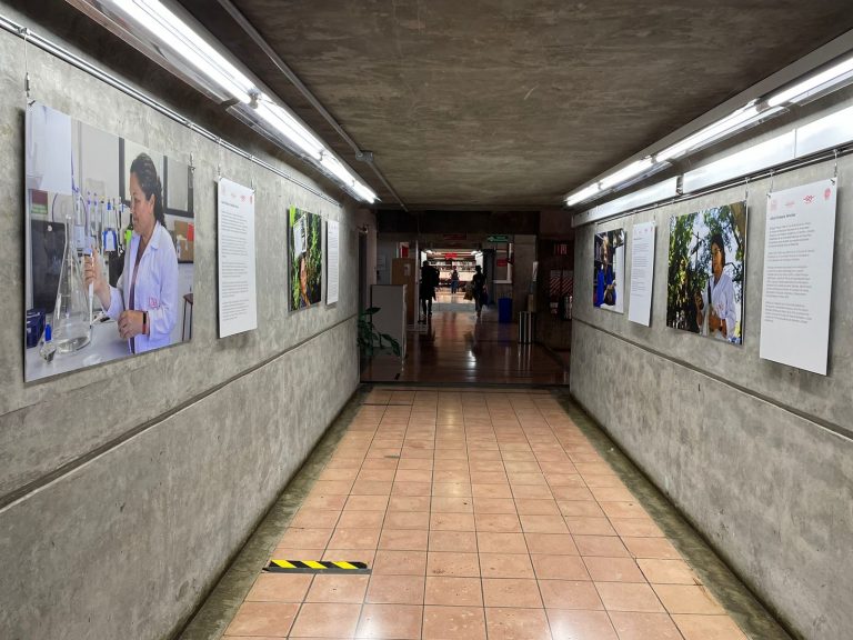 WhatsApp Image 2023-12-06 at 09.26.43