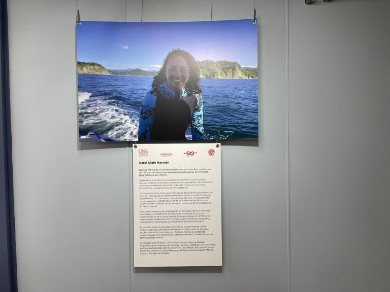 WhatsApp Image 2023-12-06 at 09.26.44