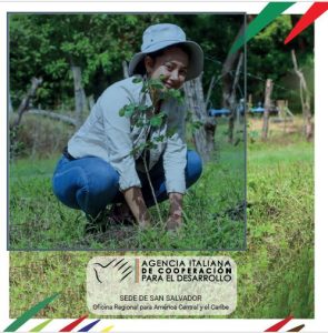 Brochure cooperazione italiana