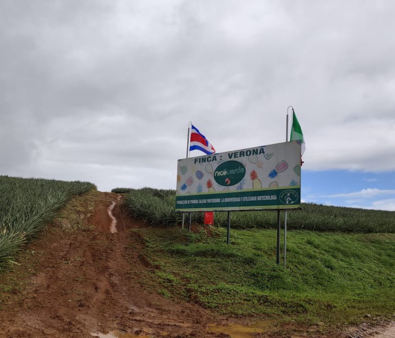 Finca Verona