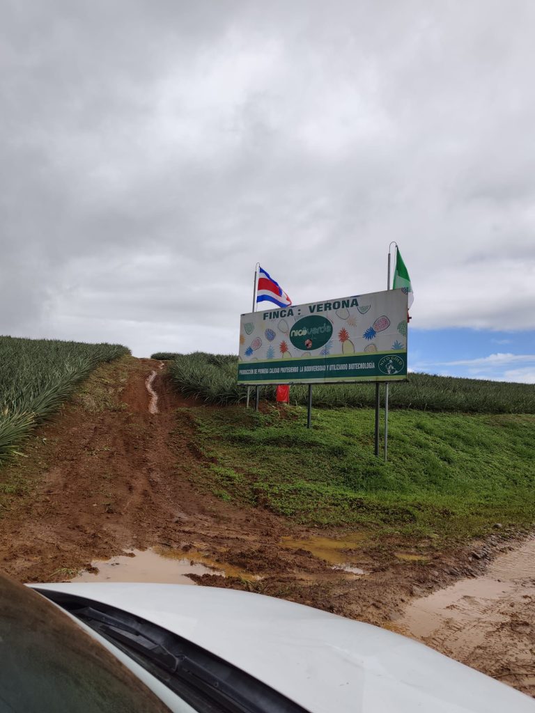 WhatsApp Image 2026-02-16 at 08.10.22 (2)