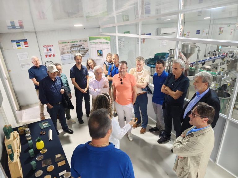 WhatsApp Image 2026-02-16 at 08.10.23