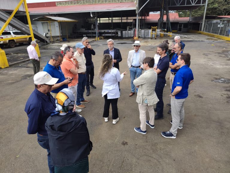 WhatsApp Image 2026-02-16 at 08.10.25