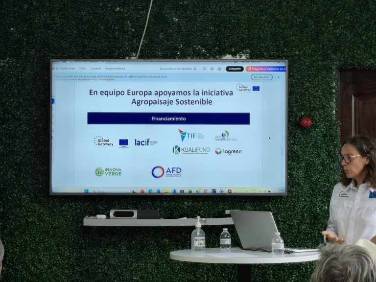 WhatsApp Image 2026-02-16 at 08.10.59