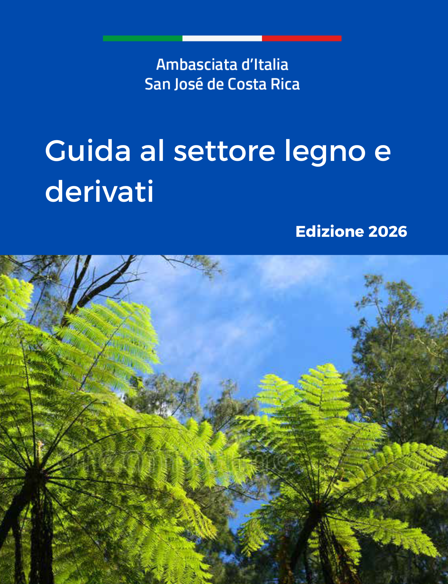 Guida al settore legno e derivati in Costa Rica (002)
